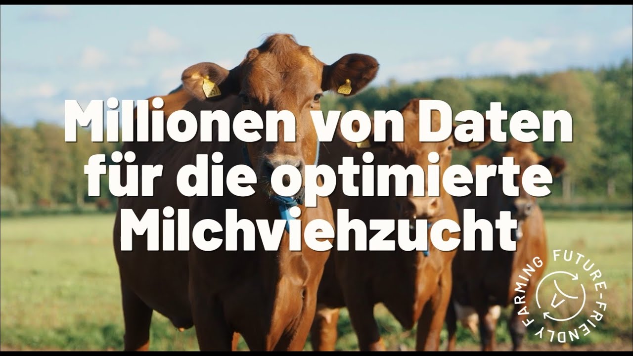 Millionen von Gesundheitsdaten für die optimierte Milchviehzucht