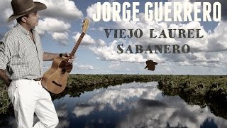 Video thumbnail of "JORGE GUERRERO - VIEJO LAUREL SABANERO. (LETRA)"