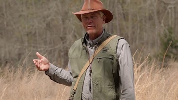 Retriever Training: Steadiness