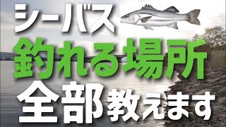 シーバス 釣れる場所を暴露 逆にこの場所以外は釣れません 永久に釣れる場所を探すヒントもここにあります Youtube