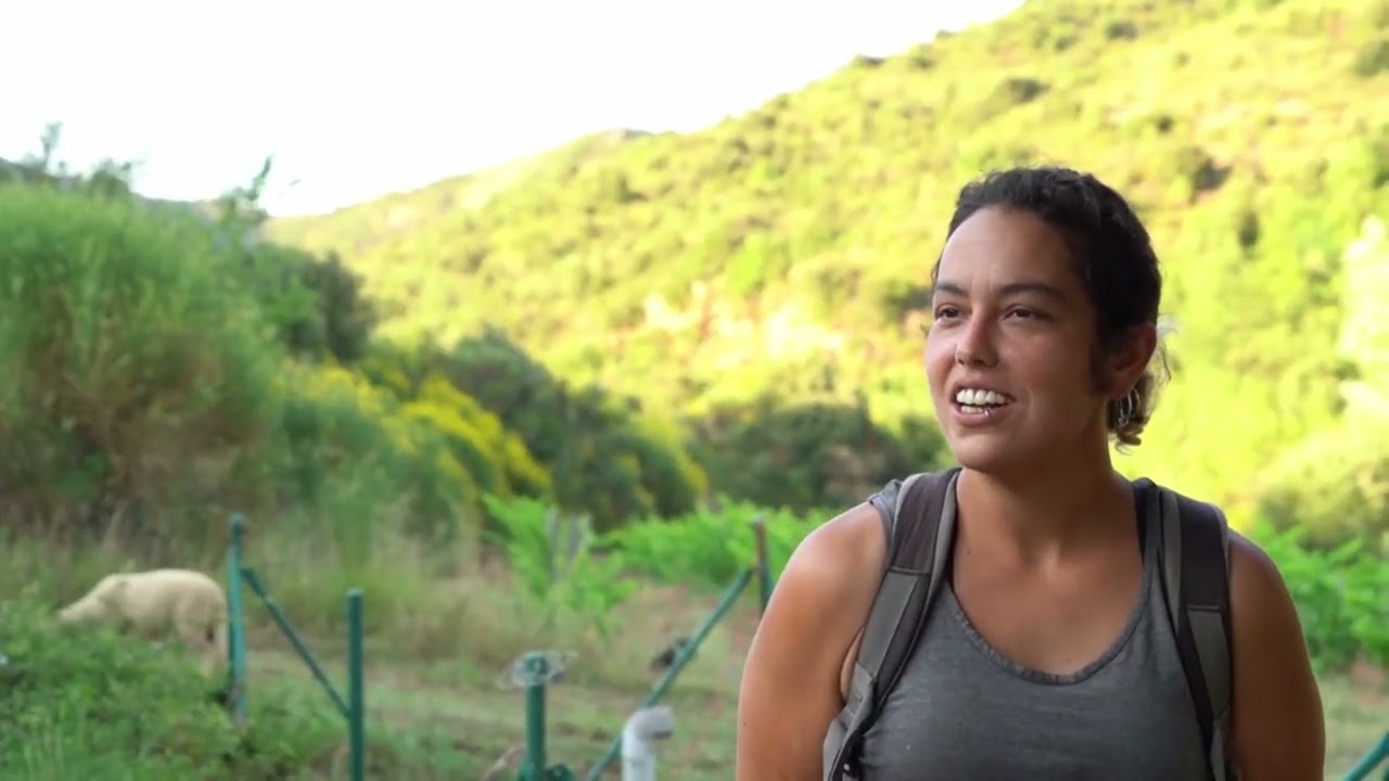 021 L'ofici de pastor d'ovelles i cabres