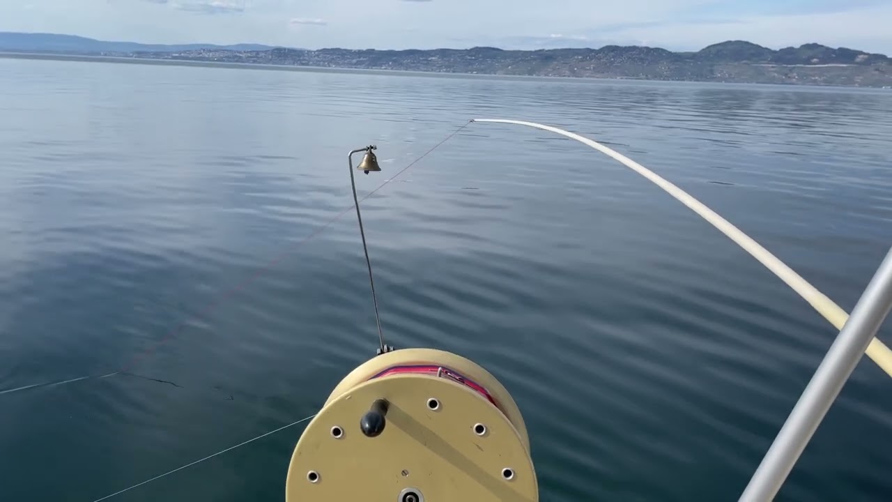 Clips de Lâchage de Ligne pour Pêche à la Traîne avec Tampons et Anneaux d'Arrêt - Clips Terminal Tackle et Pince de Tangon de Pêche Clips de Lâchage de Ligne pour Pêche à la Traîne avec Tampons et Anneaux d'Arrêt - Clips Terminal Tackle et Pince de Tangon de Pêche