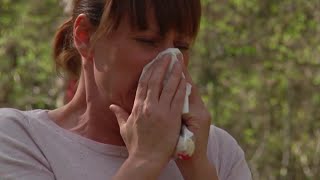 Pollenallergi - så går det till - Nyheterna (TV4) Pollenallergi - så går det till - Nyheterna (TV4)