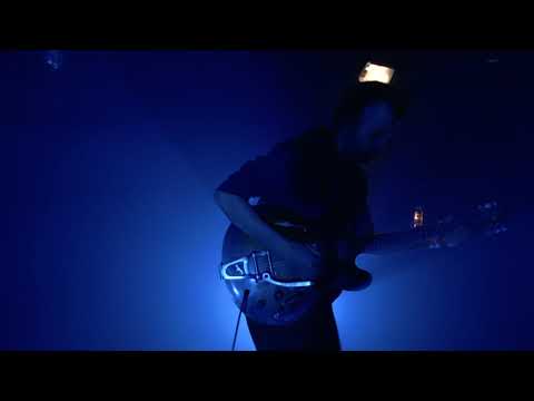 Echoes of Zoo