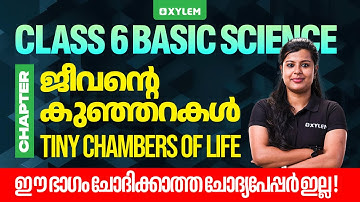 Class 6 Basic Science | Tiny Chambers of Life | Most Important Chapter | Xylem Class 6