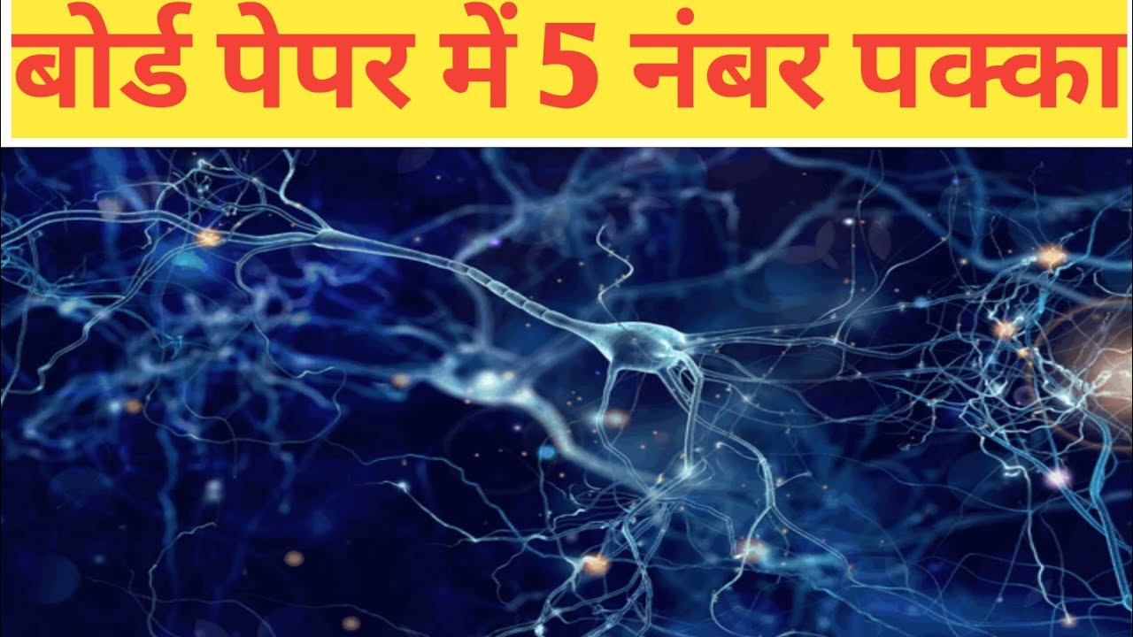 Neuron Ka Namankit Chitra Banaaiye ।। Neuron Model।। Neuron Model