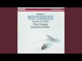 Miniature de la vidéo de la chanson Winterreise, D. 911: Wasserflut