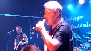 Jello Biafra &amp; G.S.M. - Government Flu  (Live)