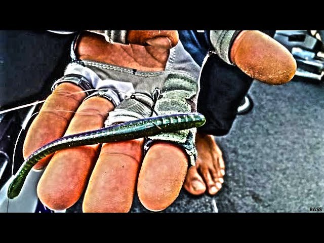 BEST Bass Fishing Rig : Dropshot vs Texas? 