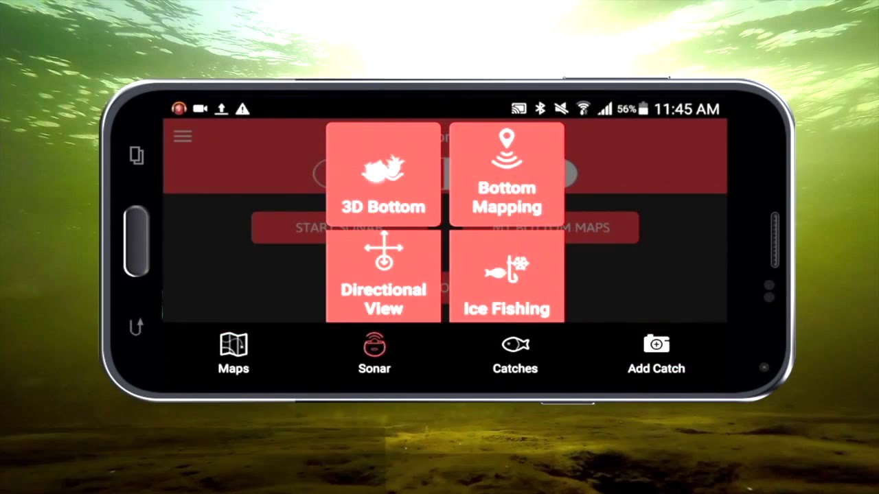 Add catch. Десалл роб. Аноун покемон го. Fish place game. Add catch.