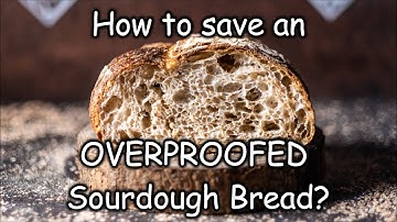 How to save an OVERPROOFED sourdough bread?
