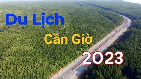 Du Lịch Cần Giờ 2023 | Hành trình khám phá Rừng Sác - Đảo khỉ - Biển Cần Giờ