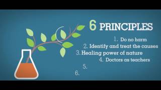 What Is Naturopathic Medicine?