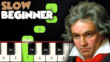 Ode To Joy | SLOW BEGINNER PIANO TUTORIAL + SHEET MUSIC by Betacustic