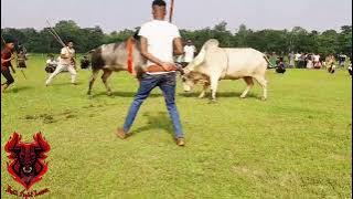 Leader-2 🆚 Danob  🏆Win-Leader-2🏆 (Stay by like👍 comment📝 and share📤)