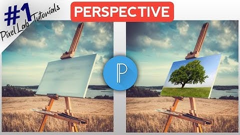 How to Use Perspective Option | in  PixelLab | Photo Editing trick #perspective #pixellab #photoedit