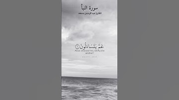 عما يتساءلون عن النبأ العظيم. ماتيسر من سورة النبأ بصوت القارئ عبد الرحمن مسعد.