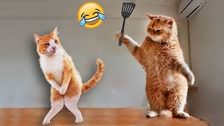 Try Not To Laugh Cats And Dogs Videos 😁 - Best Funniest Animals Video 2024