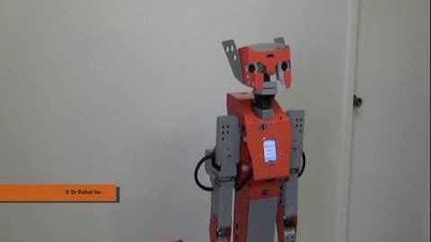 Hawk Robot Auto Docking and Charging