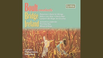 Suite for String Orchestra, H. 93: IV. Finale