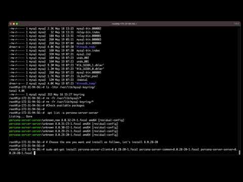 Install specific version percona server mysql on Ubuntu