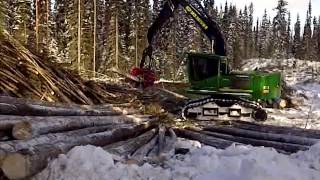Cut to length forestry. Waratah processor