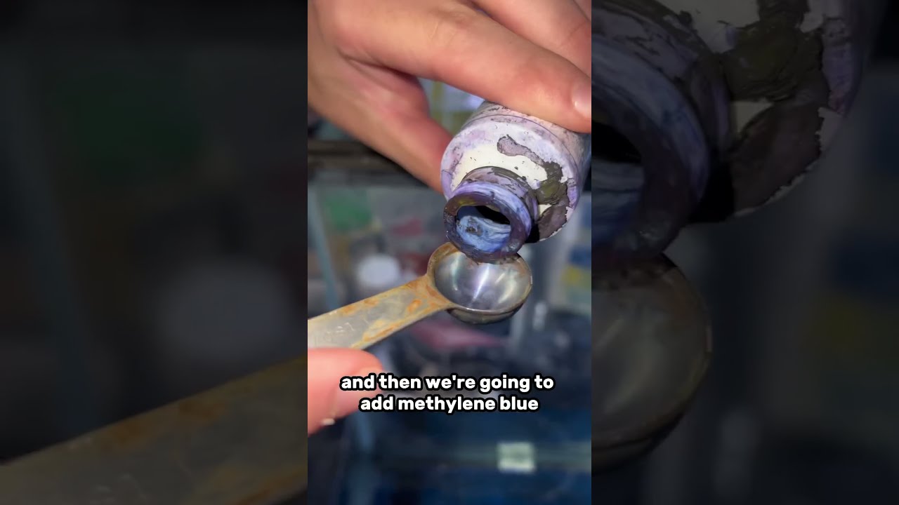 How To Set Up A Hospital Tank For Your Fish