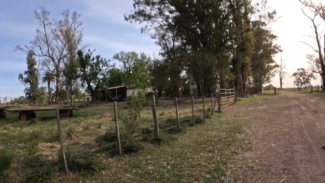 Conserva "la Esencia, Colonial" 