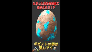 【ARK】ギガノトサウルスの卵で止められる？