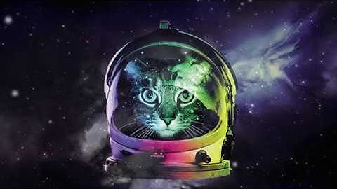 Gumball Willie -- Theme from "SPACE CAT"