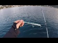 Montenegro spinning  jack fin stylo 210  bluefish attack