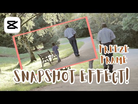 CapCut PC Tutorial: How to Create Freeze Frame Snapshot Effect (2024) | Step-by-Step Guide