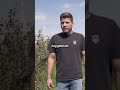 Lokaal geteelde appels en peren bij #BoekelAGF