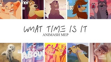 What time is it || Summer MEP