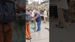 💙 Encantada com a beleza do Oceanário de Lisboa!
