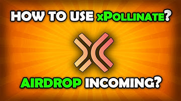 How To Use xPollinate Bridge? Airdrop Incoming!