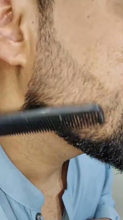Garnier Beard colour