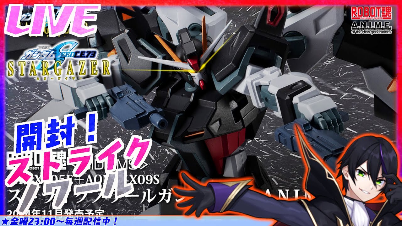 ロボット魂　デスティニーインパルス　ストライクノワール【開封品】 Amazon.co.jp: TAMASHII NATIONS ROBOT魂 機動戦士ガンダムSEED