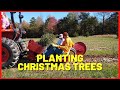 #194 Planting Christmas Trees With Mechanical Transplanter