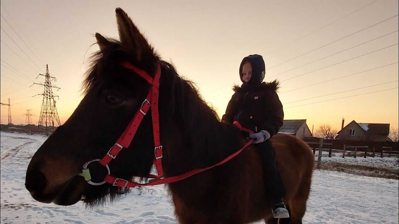 КЛУБ КОННОГО ТУРИЗМА И СТРЕЛЬБЫ ИЗ ЛУКА "МИНТАКА" / ЗИМА 2023 ОДЕССА КОРСУНЦЫ