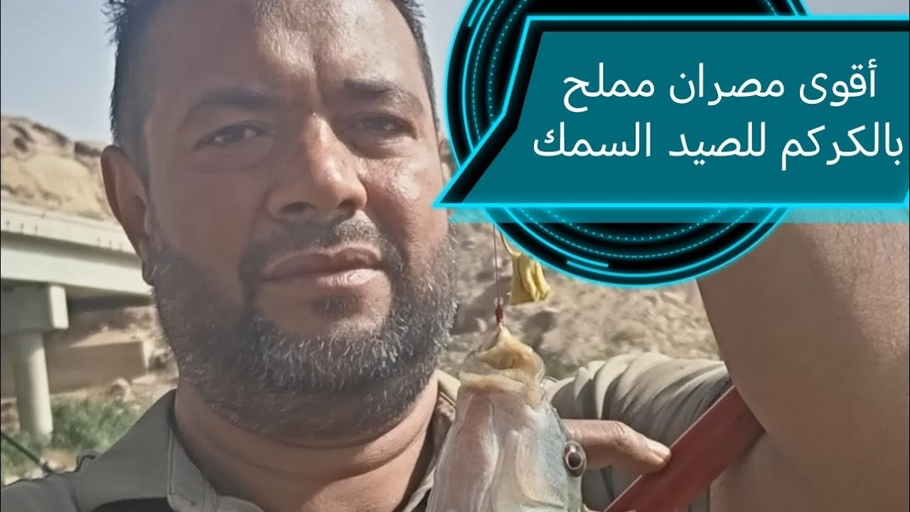 أقوى طعم مصران الدجاج المملح بالكركم في سد تندحه  Salted chicken intestines with turmeric