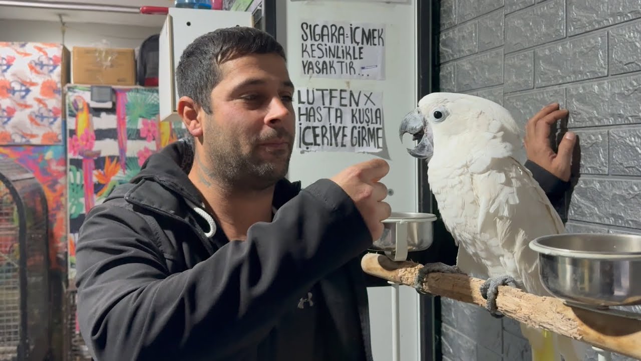 EFSANE İSTANBUL VLOG YENİ KUŞLAR ALDIM SALMA İÇİN
