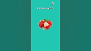 English quiz challenge part 16 #newquiz