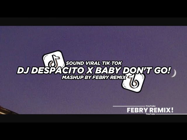 Dj Despacito X Baby Don't Go Mashup 2024 Bootleg Febry Remix || Dj Fyp Viral Tik tok class=