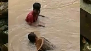 Kerja Berat Sang Kuli Kayu...