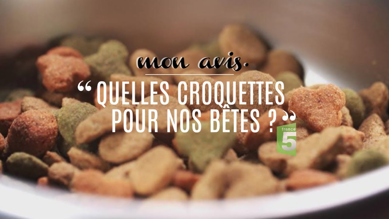 La Viande Et Les Croquettes