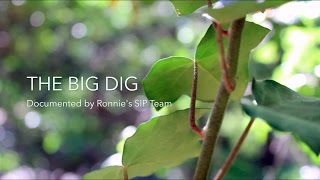 Big Dig Documentary (Trailer)