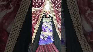 मां मरघट वासिनि जी के सुबह के दर्शन#Guru#maa#ka#ladla#kalka#navdurga darbar#roorkee#shorts