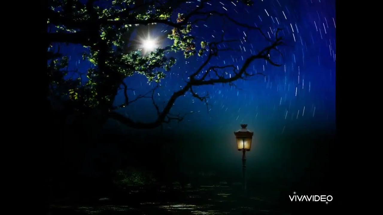 освещена лунным светом. сказочная ночь. красивые ночные пейзажи. светлая ночь. ночь лес луна.