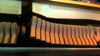 tuned to concert pitch plays great